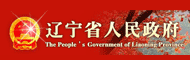 辽宁政府