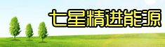 广西七星精进能源科技有限公司