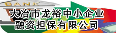 大冶市龙裕中小企业融资担保有限公司