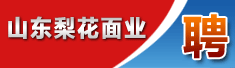 山东梨花面业有限公司