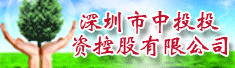 深圳市中投投资控股有限公司