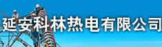 延安科林热电有限公司