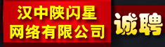 汉中陕闪星网络有限公司