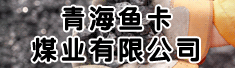 青海鱼卡煤业有限公司