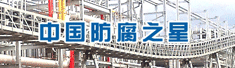 广东中星防腐安装工程有限公司