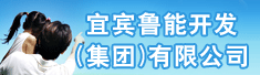 宜宾鲁能开发(集团)有限公司