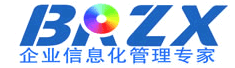 新疆博锐众信科技有限公司
