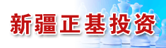 新疆正基投资有限公司