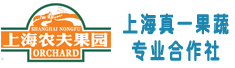 上海真一果蔬专业合作社
