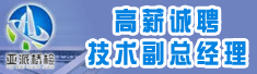 重庆亚派桥梁工程质量检测有限公司