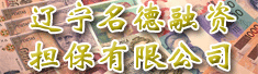 辽宁名德融资担保有限公司