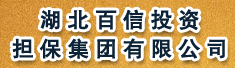 湖北百信投资担保集团有限公司
