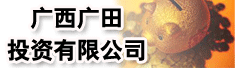 广西广田投资有限公司