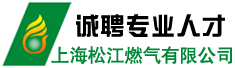 上海松江燃气有限公司
