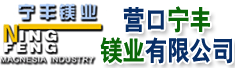 营口宁丰镁业有限公司