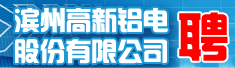 滨州高新铝电股份有限公司