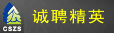 上海丞世建筑装饰工程有限公司