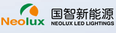 上海国智新能源有限公司