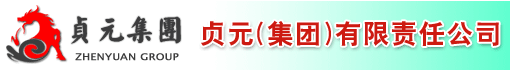 贞元(集团)有限责任公司