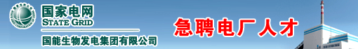 国能生物发电集团有限公司