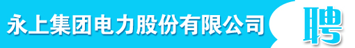 永上集团电力股份有限公司