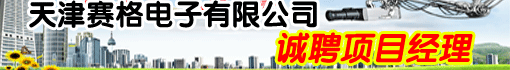 天津赛格电子有限公司