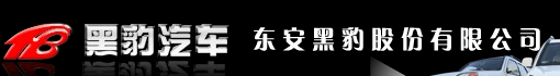 东安黑豹股份有限公司
