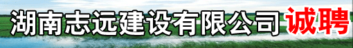 湖南志远建设有限公司