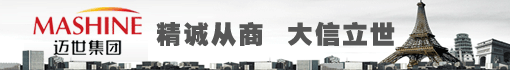迈世集团有限公司