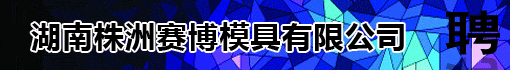 湖南株洲赛博模具有限公司
