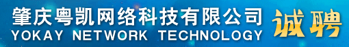 肇庆粤凯网络科技有限公司