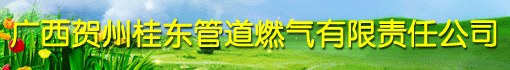 广西贺州桂东管道燃气有限责任公司