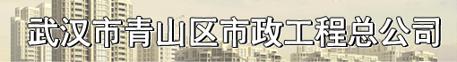 武汉市青山区市政工程总公司