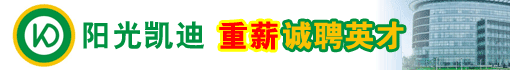 武汉凯迪控股投资有限公司