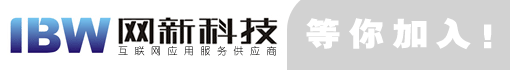 安徽网新科技有限公司