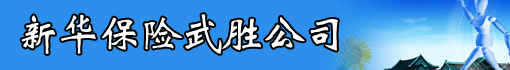 新华保险武胜公司