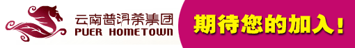 云南普洱茶(集团)有限公司